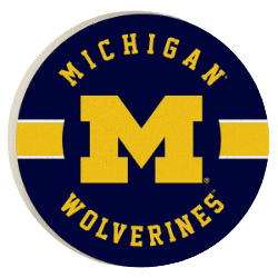 dfs michigan wolverines